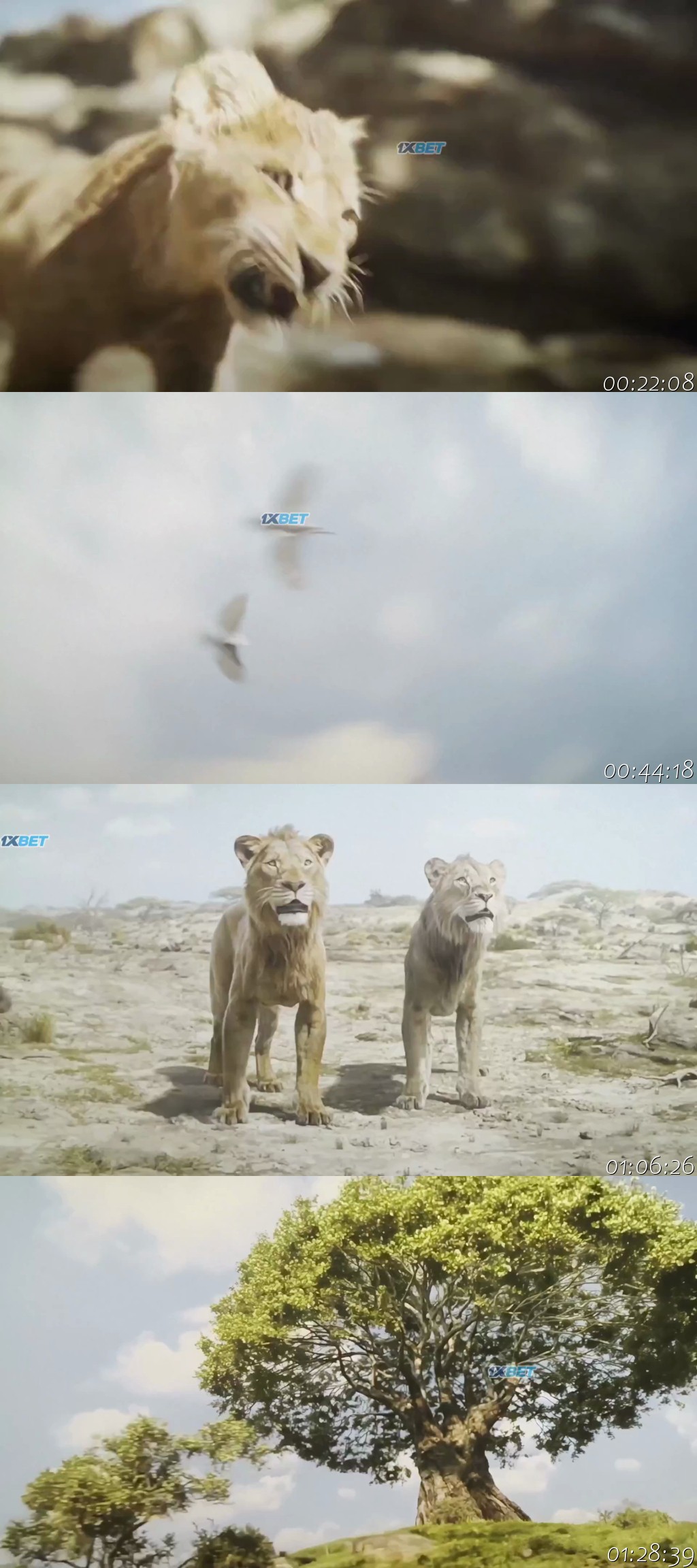 Mufasa The Lion King 