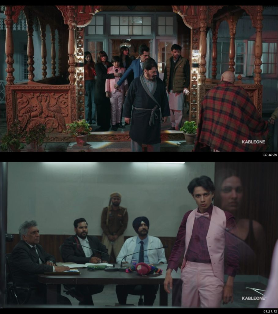 Haan Main Pagal Haan (2025)