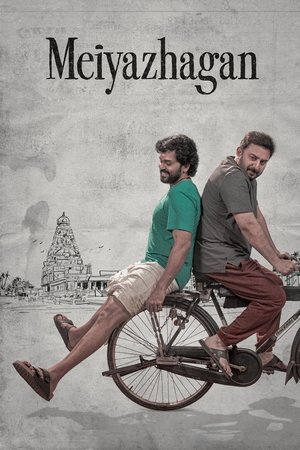 MoviesNation Meiyazhagan 2024 Hindi+Tamil Full Movie WEB-DL 480p 720p 1080p Download
