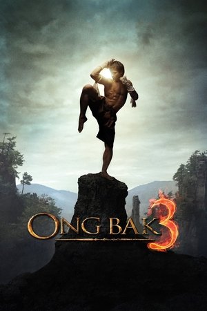 MoviesNation Ong Bak 3 (2010) Hindi+English Full Movie BluRay 480p 720p 1080p Download