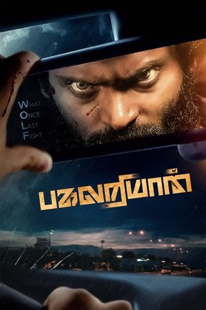 MoviesNation Pagalariyaan 2024 Hindi+Tamil Full Movie HDCAMRip 480p 720p 1080p Download