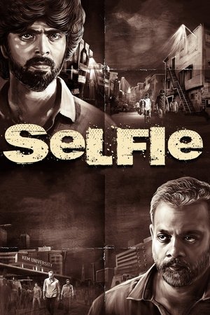 MoviesNation Selfie 2022 Hindi+Tamil Full Movie WEB-DL 480p 720p 1080p Download