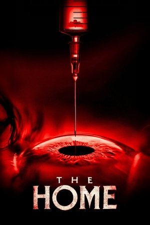 MoviesNation The Home 2025 Hindi+English Full Movie BluRay 480p 720p 1080p Download