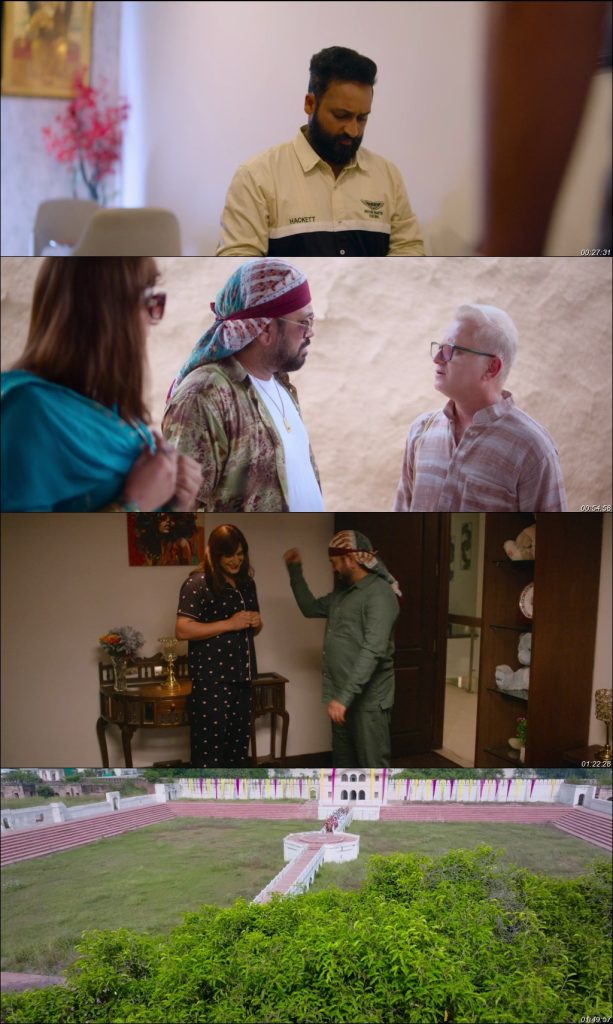 Mr. & Mrs. 420 Again (2025)